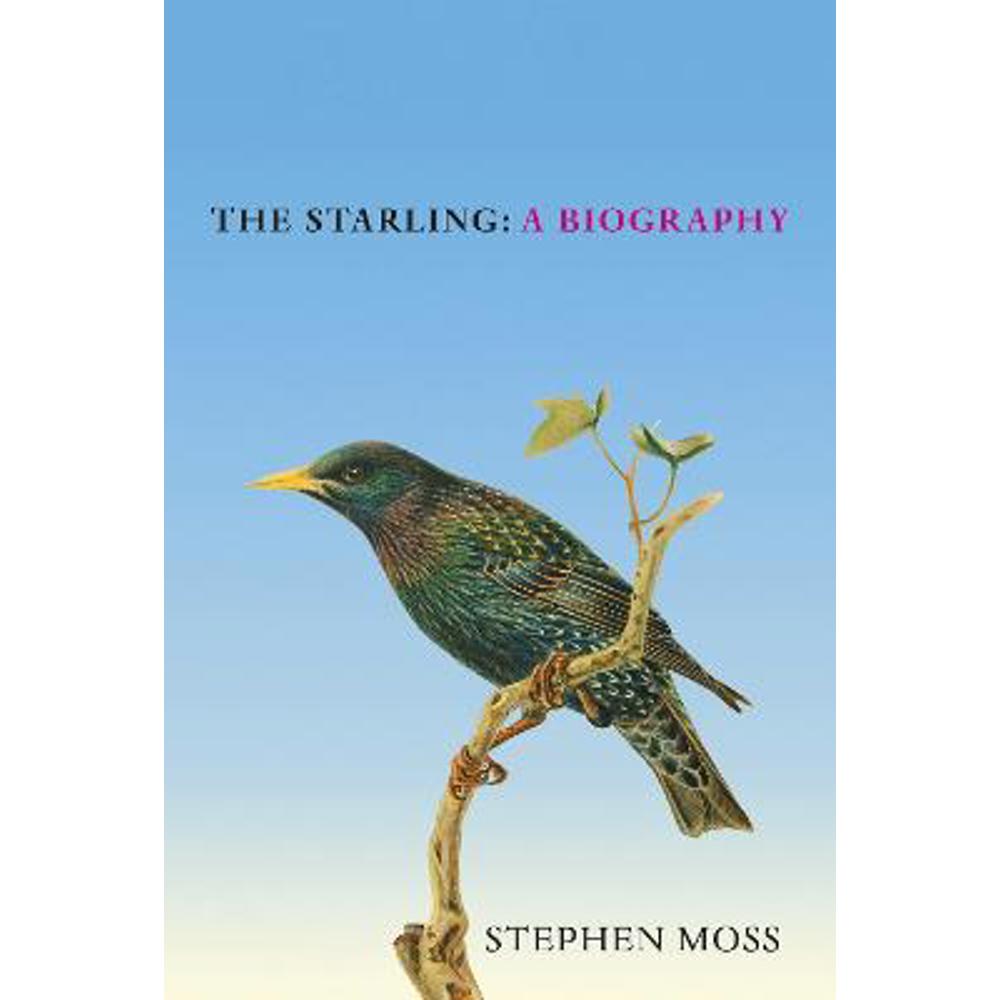 The Starling: A Biography (Hardback) - Stephen Moss